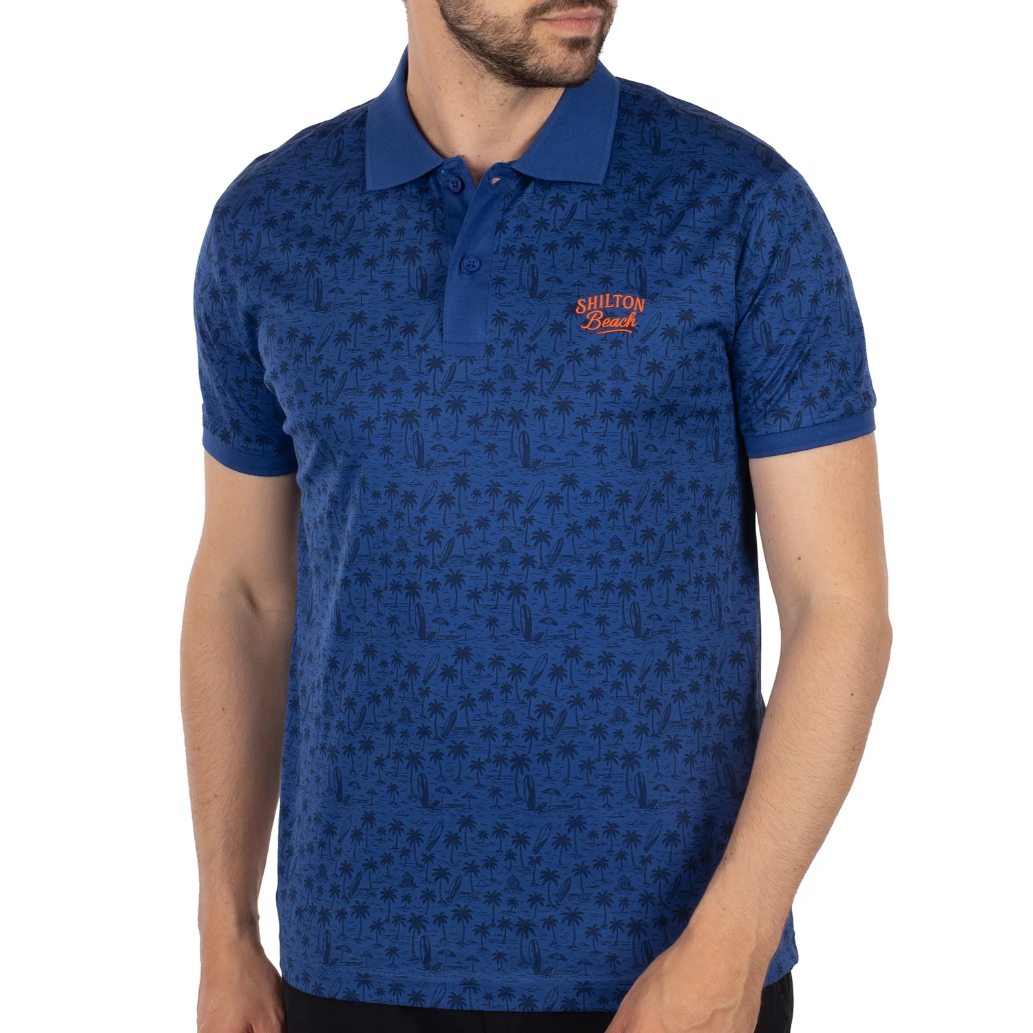Polo atlantide