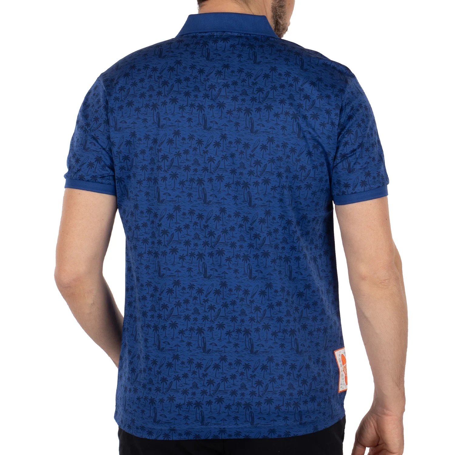 Polo atlantide - Image 2