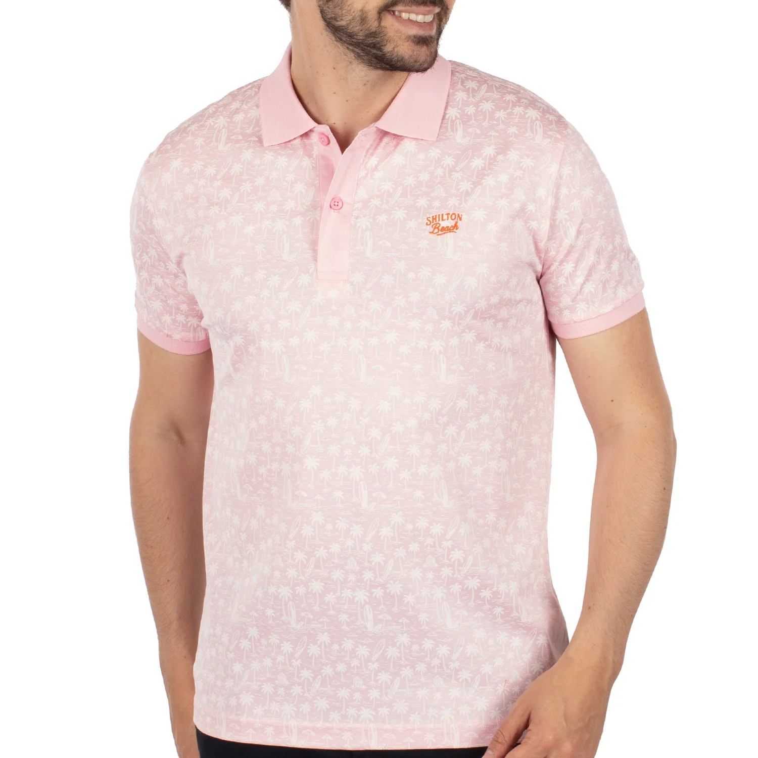Polo atlantide