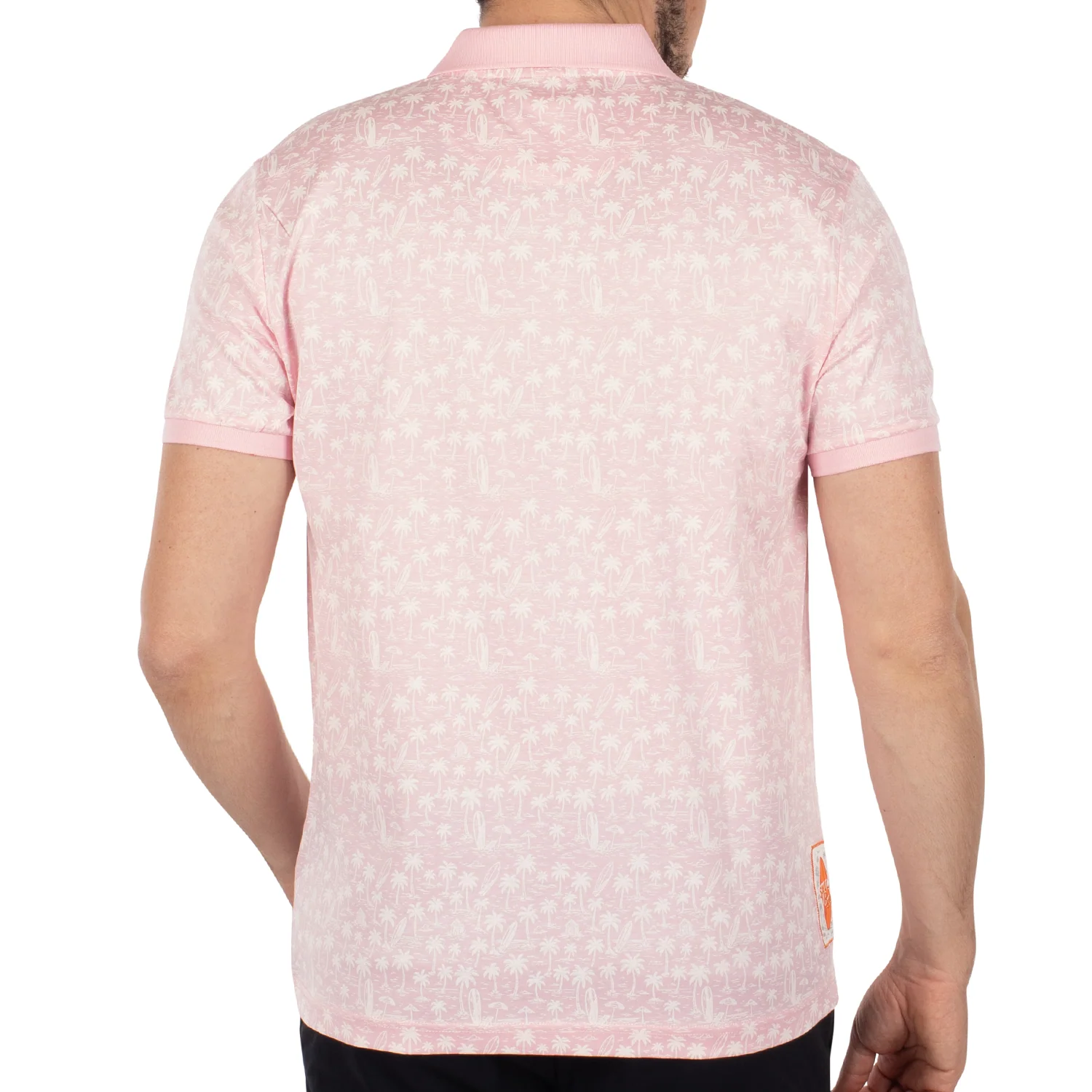 Polo atlantide - Image 2