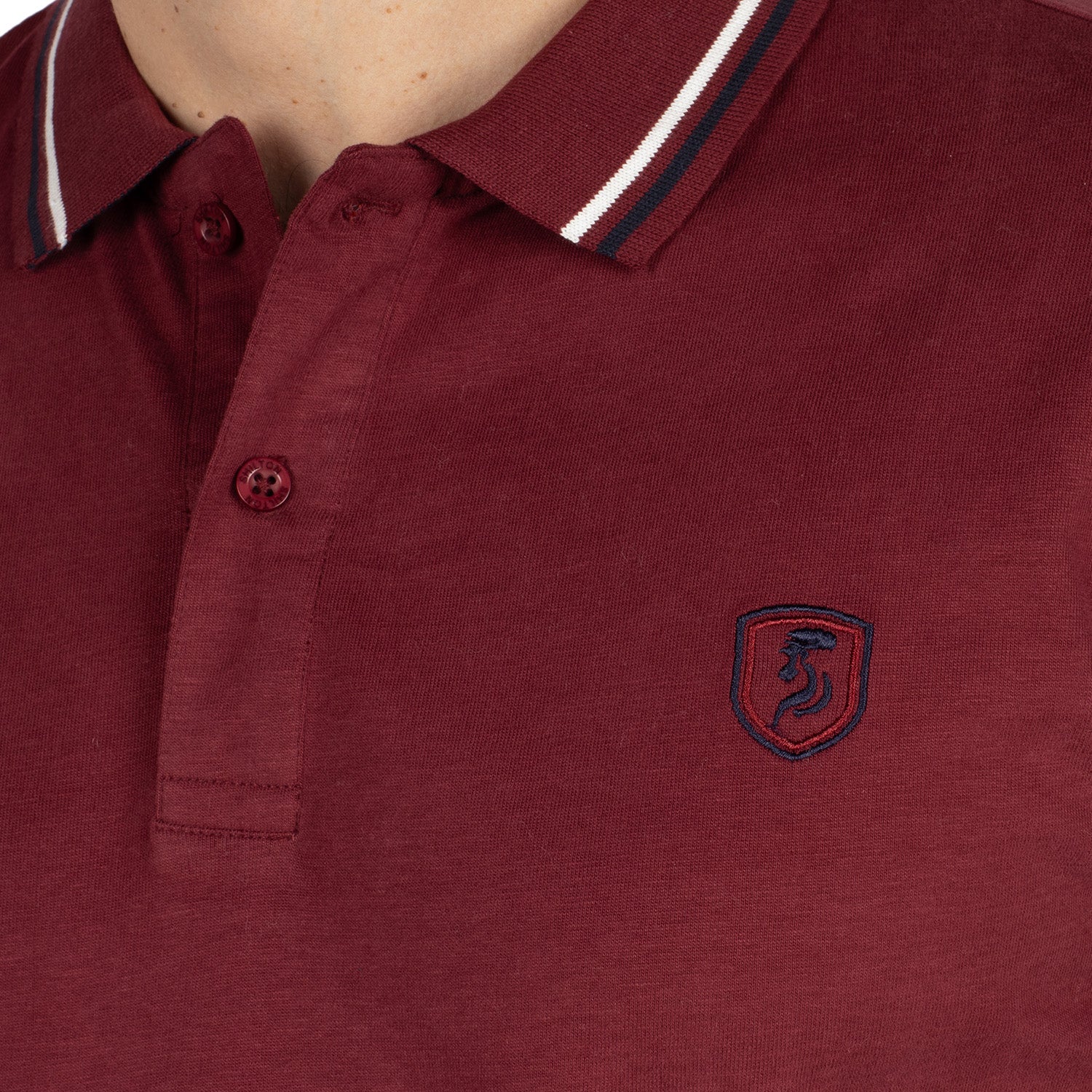 Polo basic ben nevis - Image 3