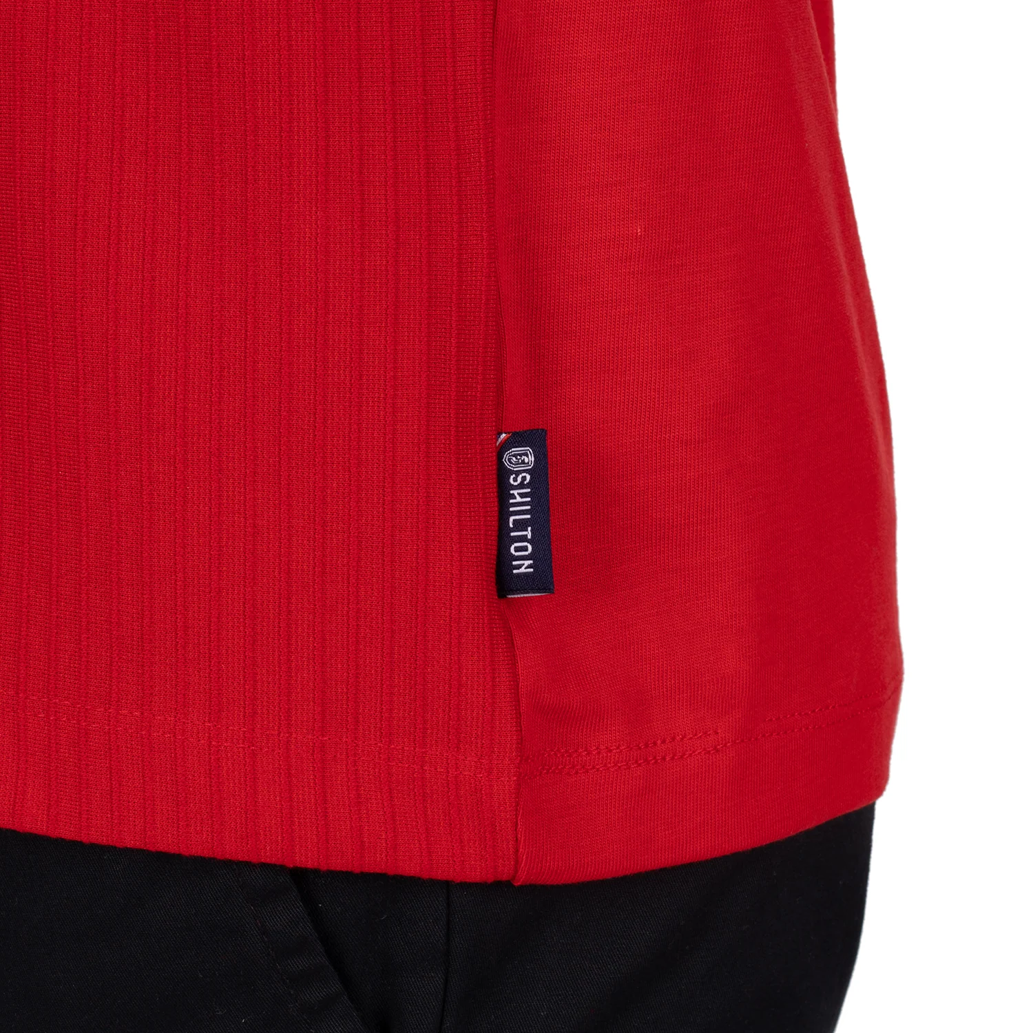 Polo pinna - Image 5