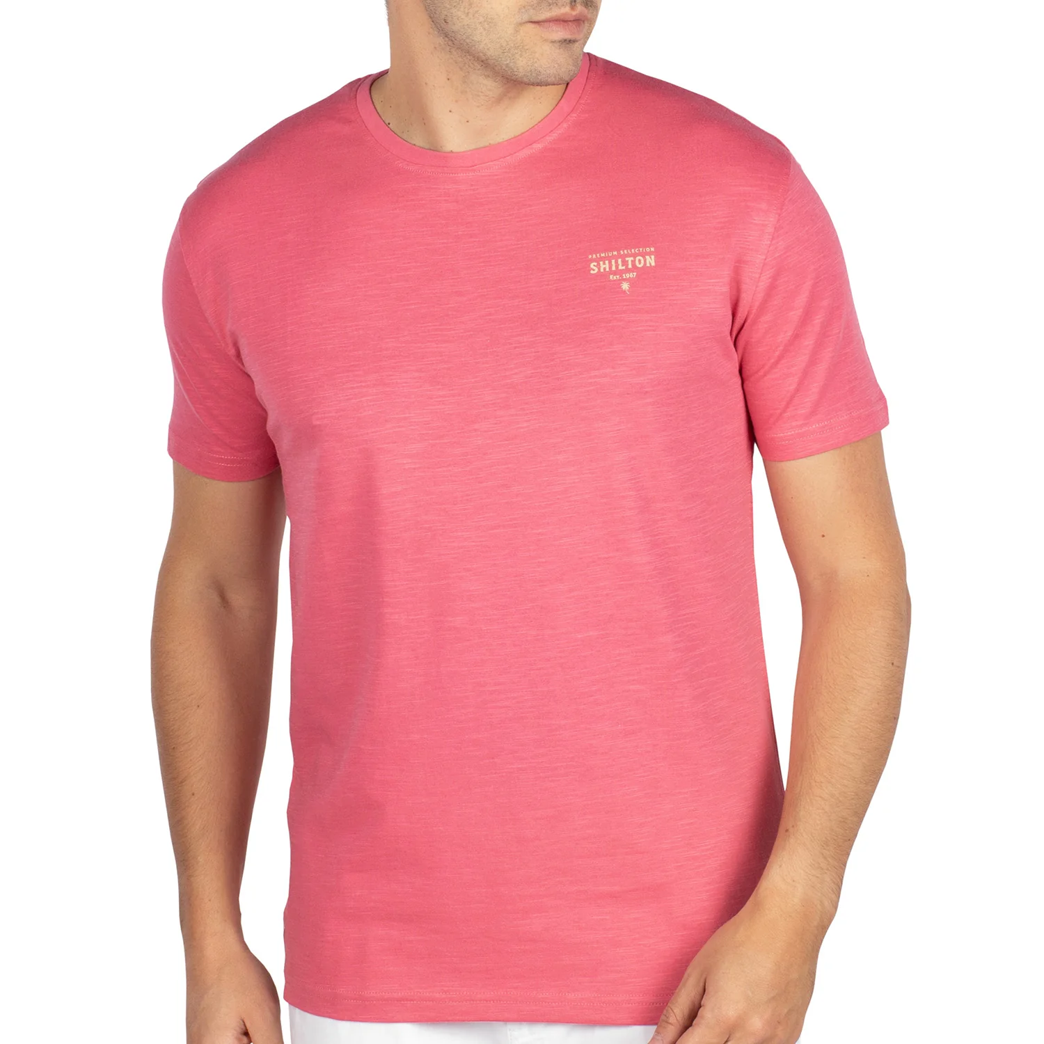 T-shirt city premium