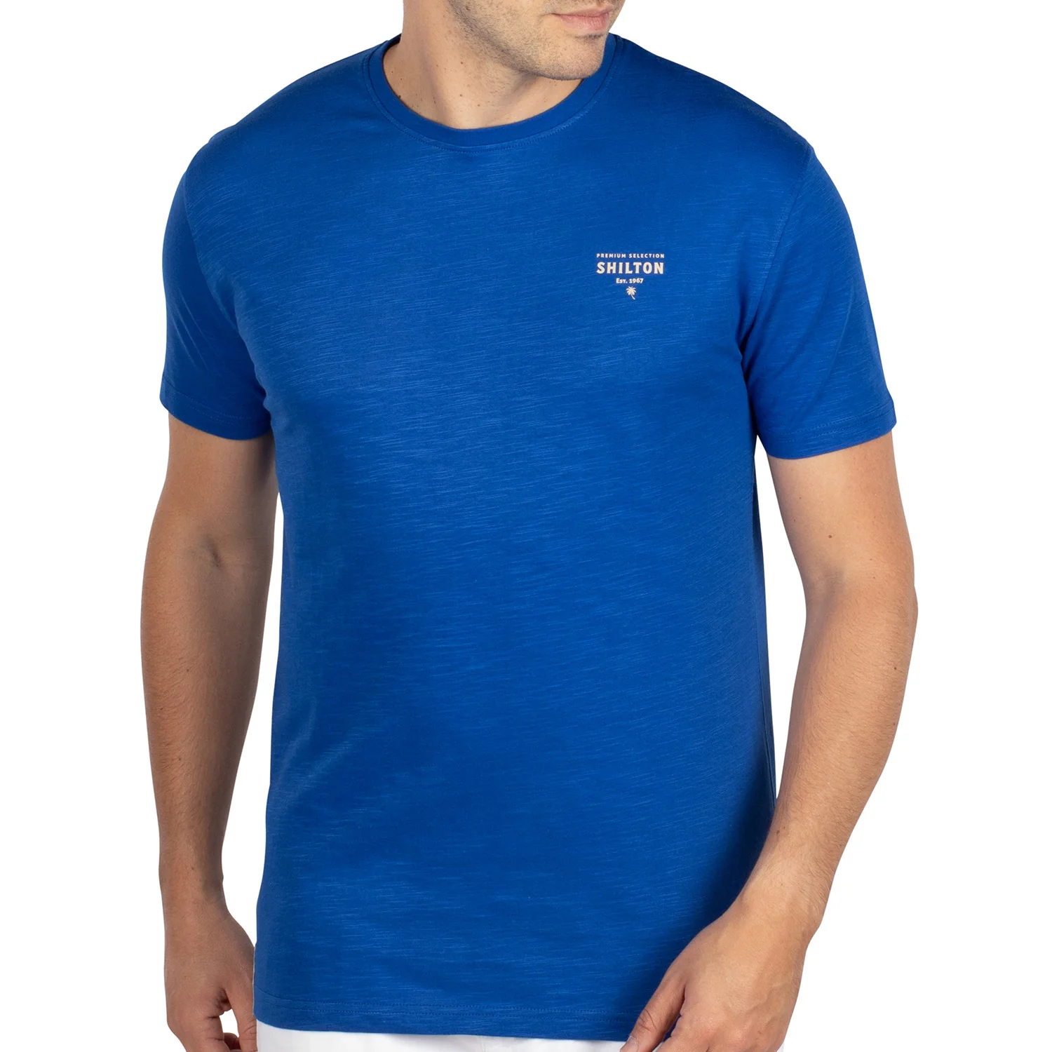 T-shirt city premium